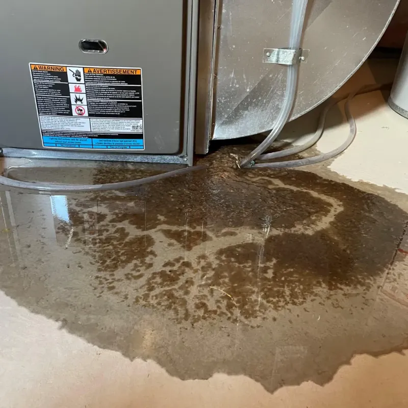 Appliance Leak Cleanup in Sharon, PA